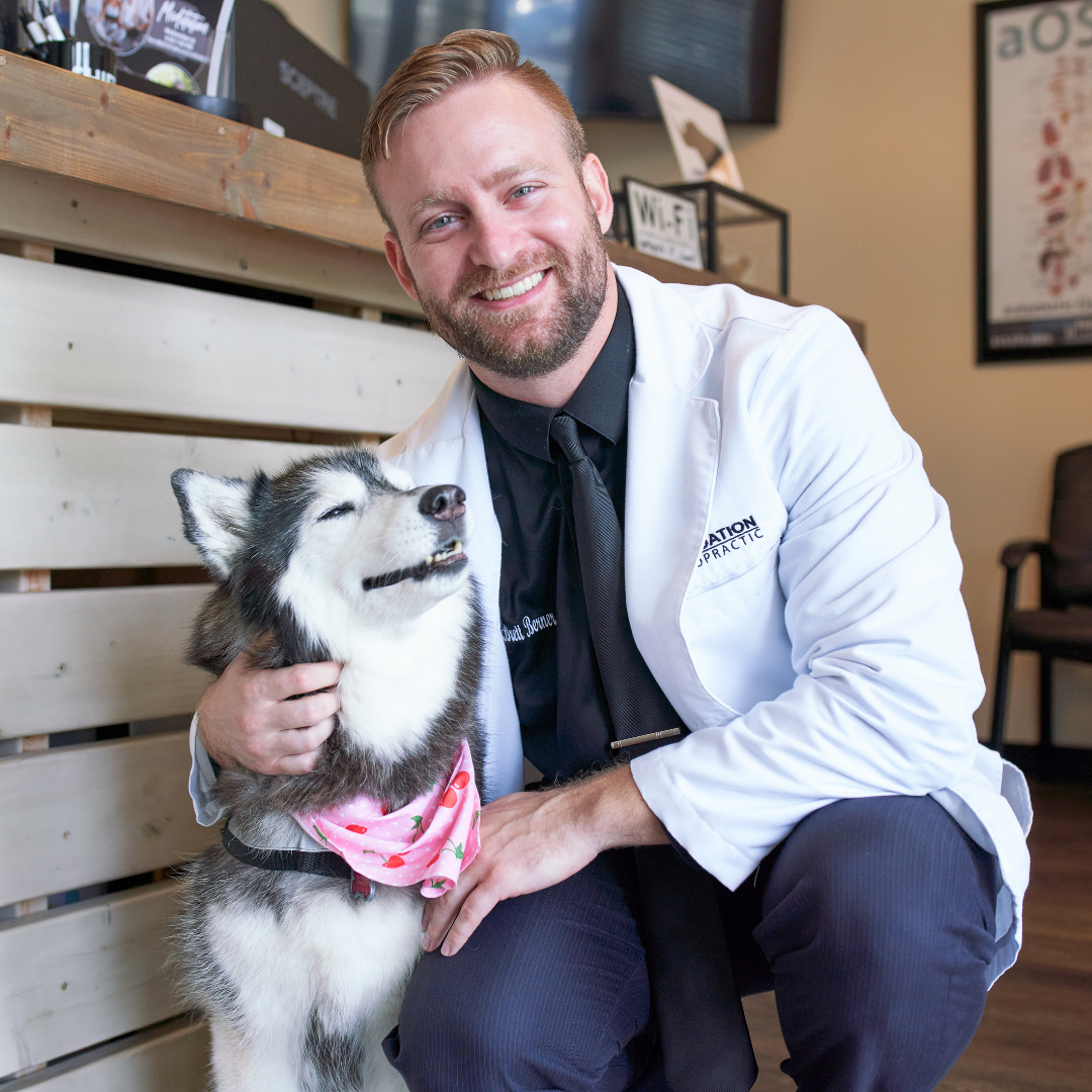 Foundation Chiropractic-lutz-dr berner dallas the husky